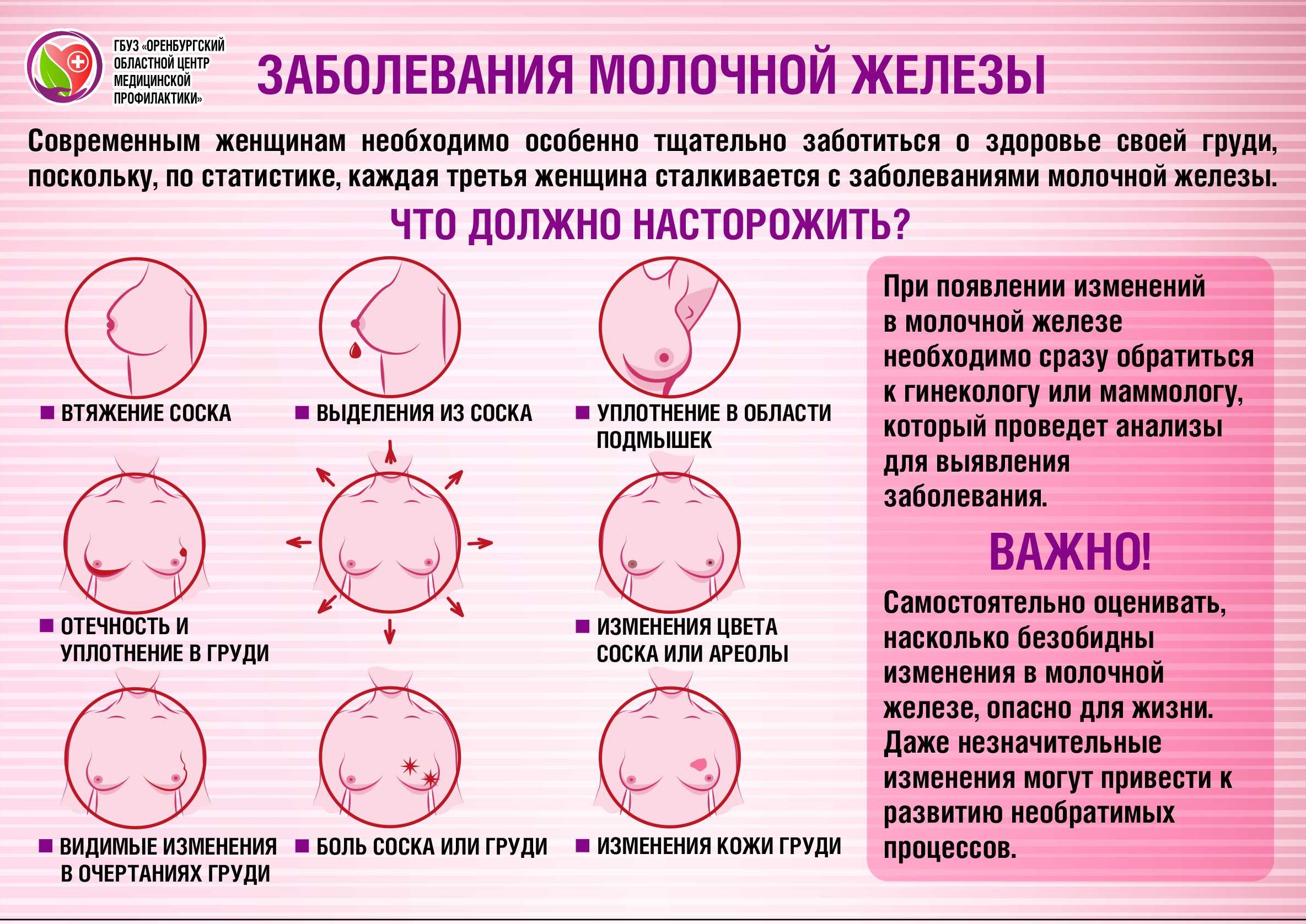 потемнение ореола на какой день после зачатия